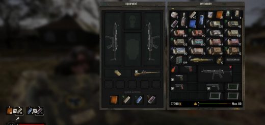 Any weapon as sidearm